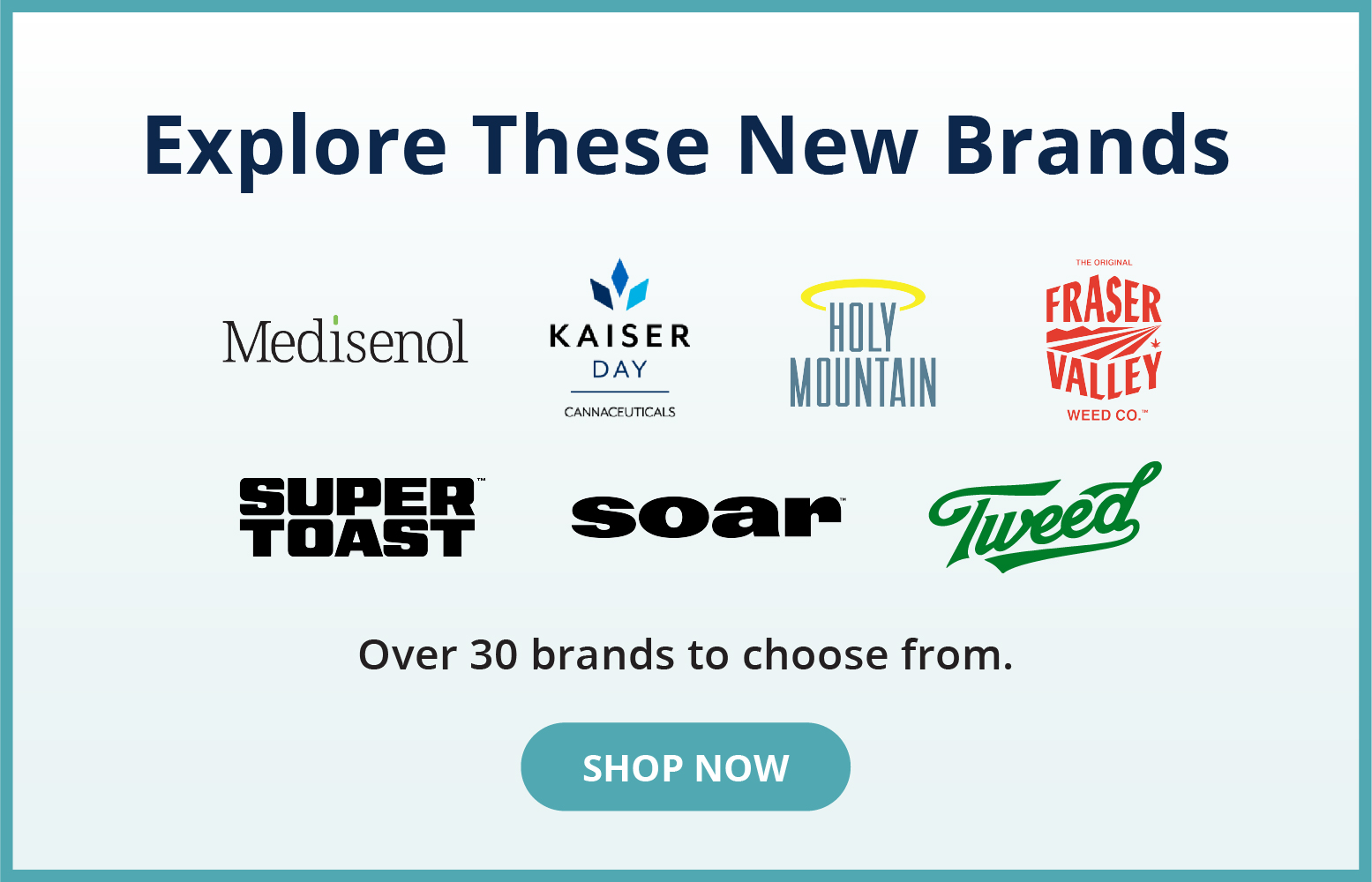 Explore These New Brands. Shop Now!